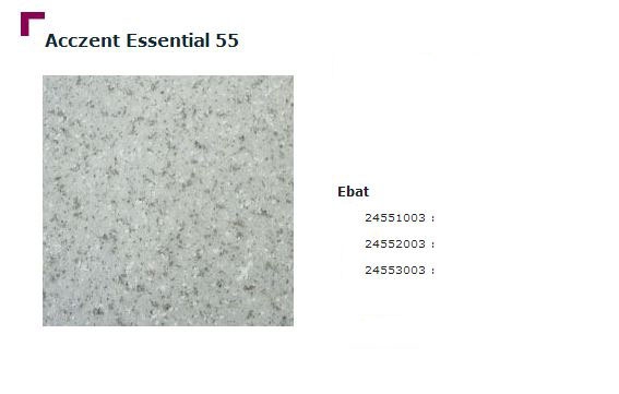 Accezent Essential 55