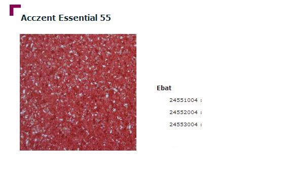 Accezent Essential 55