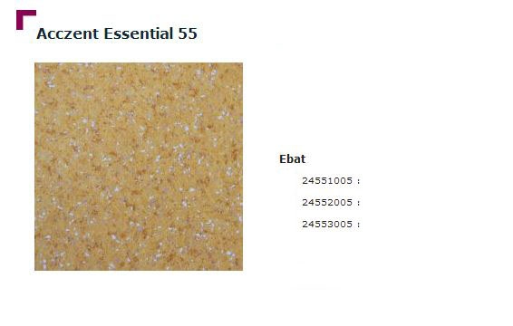 Accezent Essential 55