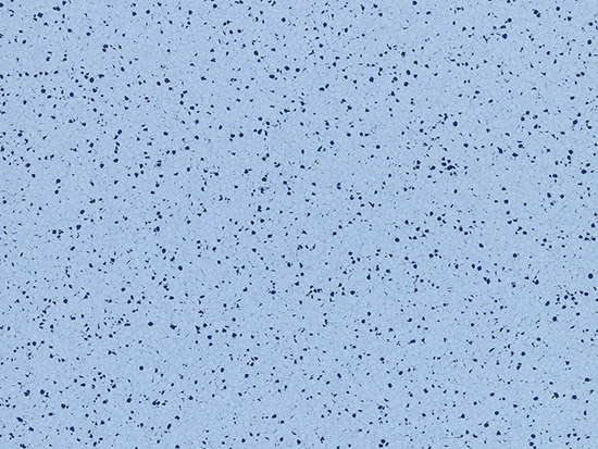 Elektrostatik Dynamik (Karo)