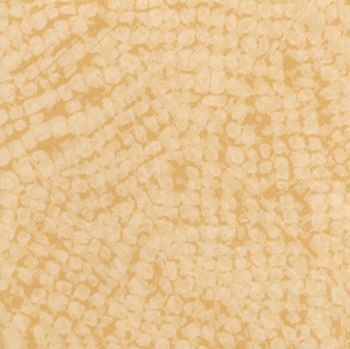 Taralay Imperession Compact