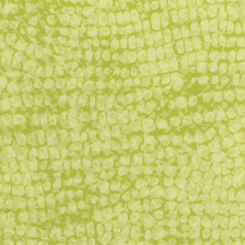 Taralay Imperession Compact