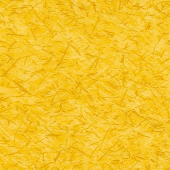 Taralay Imperession Compact