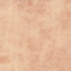 Teralay Inital Comfort