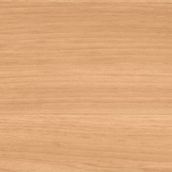 Teralay Inital Comfort