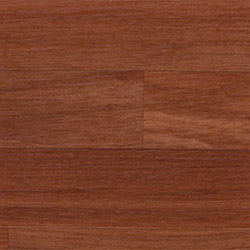 Teralay Inital Comfort