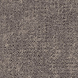 Teralay Inital Comfort