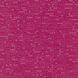 Teralay Inital Comfort