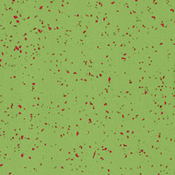 Teralay Premium Comfort