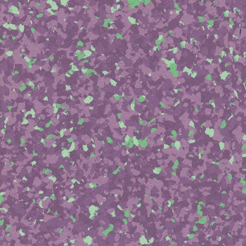 Teralay Premium Compact