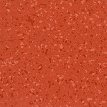 Teralay Premium Compact