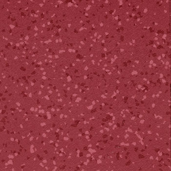 Teralay Premium Compact