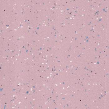 Teralay Premium Compact