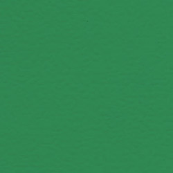 Gerflor Spor Zemin Kaplama Sistemleri