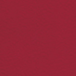 Gerflor Spor Zemin Kaplama Sistemleri