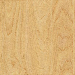 Gerflor Spor Zemin Kaplama Sistemleri