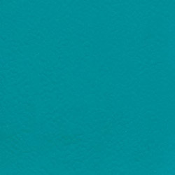 Gerflor Spor Zemin Kaplama Sistemleri