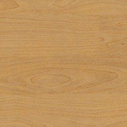 Gerflor Spor Zemin Kaplama Sistemleri